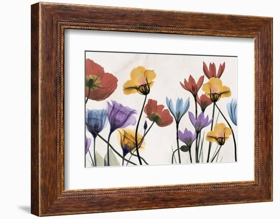 Flowers and Ferns-Albert Koetsier-Framed Photographic Print