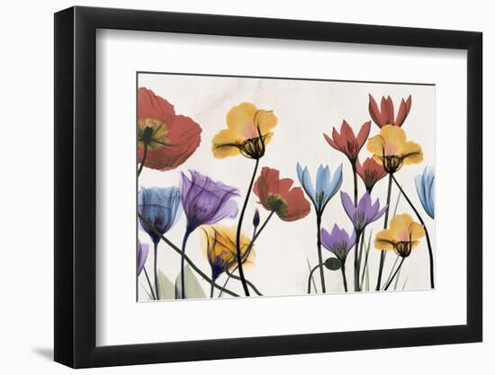 Flowers and Ferns-Albert Koetsier-Framed Photographic Print