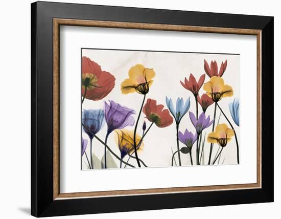 Flowers and Ferns-Albert Koetsier-Framed Photographic Print