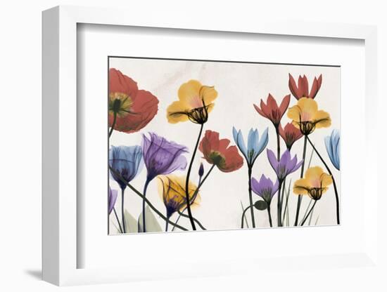 Flowers and Ferns-Albert Koetsier-Framed Photographic Print