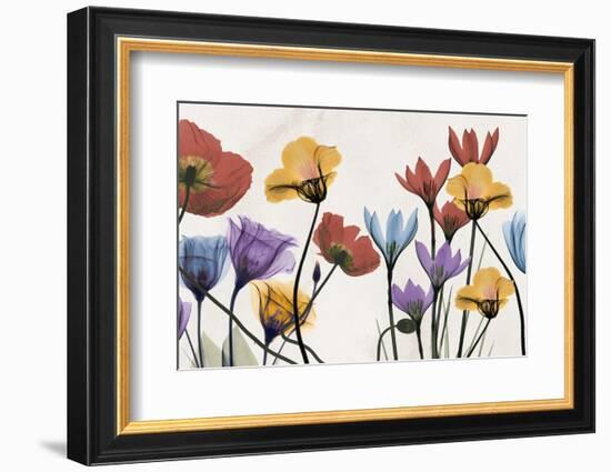 Flowers and Ferns-Albert Koetsier-Framed Photographic Print