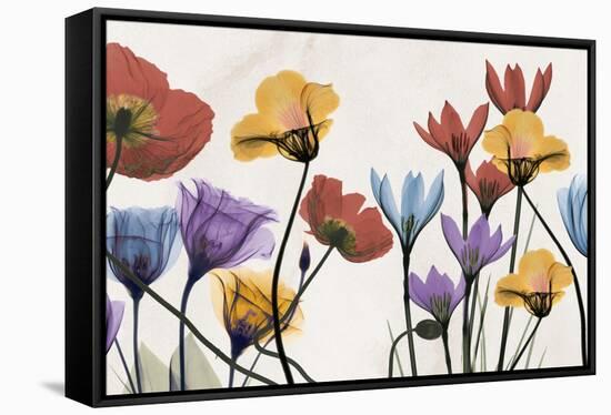 Flowers and Ferns-Albert Koetsier-Framed Stretched Canvas