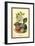 Flowers and Fruit of a Plum-W.h.j. Boot-Framed Art Print