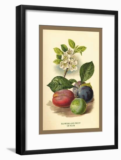 Flowers and Fruit of a Plum-W.h.j. Boot-Framed Art Print