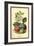 Flowers and Fruit of a Plum-W.h.j. Boot-Framed Art Print