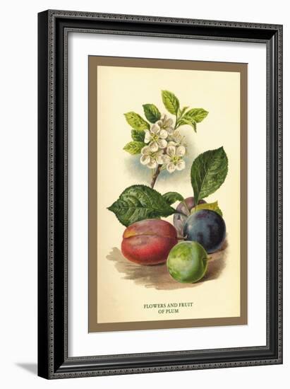 Flowers and Fruit of a Plum-W.h.j. Boot-Framed Art Print