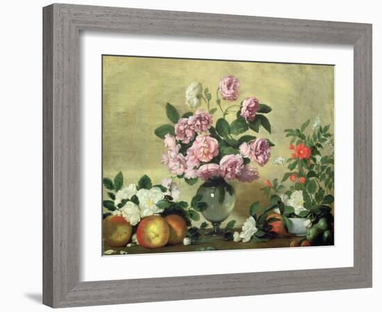 Flowers and Fruit-Bernardo Strozzi-Framed Giclee Print