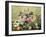 Flowers and Fruit-Bernardo Strozzi-Framed Giclee Print