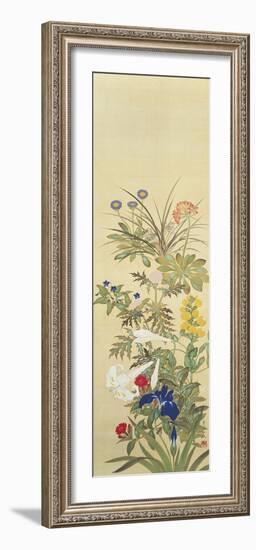Flowers and Grasses II-Suzuki Kiitsu-Framed Giclee Print