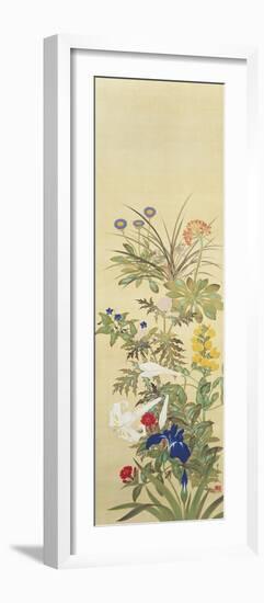 Flowers and Grasses II-Suzuki Kiitsu-Framed Giclee Print