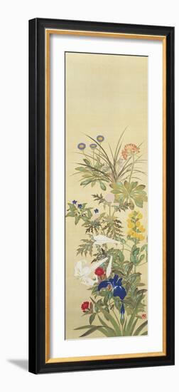 Flowers and Grasses II-Suzuki Kiitsu-Framed Giclee Print