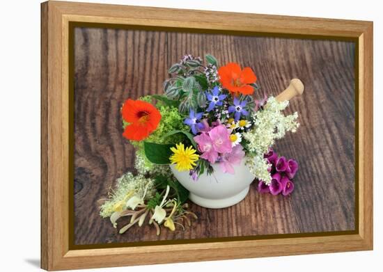 Flowers and Herbs for Natural Plant Based Herbal Remedies-marilyna-Framed Premier Image Canvas