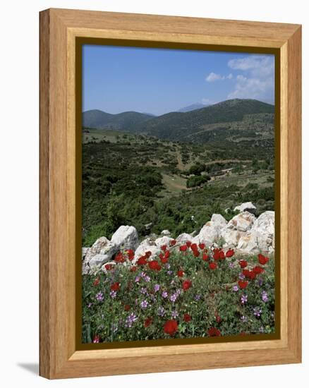 Flowers and Landscape, Greece-Tony Gervis-Framed Premier Image Canvas