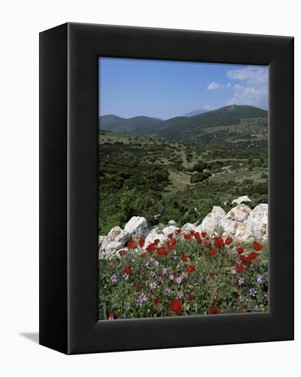 Flowers and Landscape, Greece-Tony Gervis-Framed Premier Image Canvas