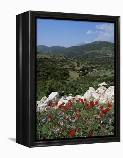 Flowers and Landscape, Greece-Tony Gervis-Framed Premier Image Canvas