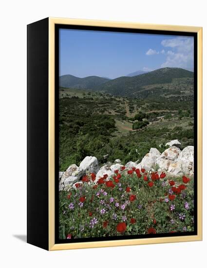 Flowers and Landscape, Greece-Tony Gervis-Framed Premier Image Canvas