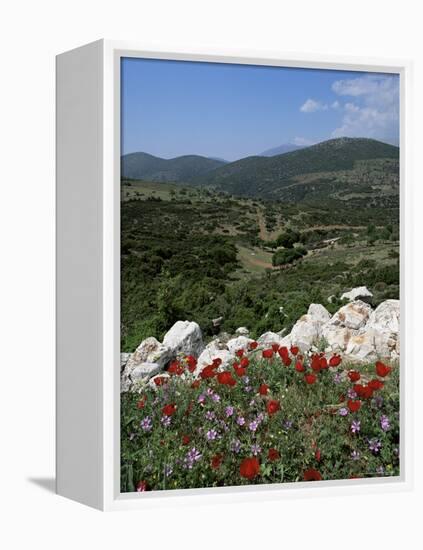 Flowers and Landscape, Greece-Tony Gervis-Framed Premier Image Canvas