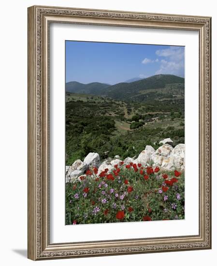 Flowers and Landscape, Greece-Tony Gervis-Framed Photographic Print