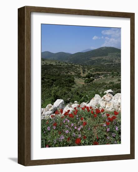 Flowers and Landscape, Greece-Tony Gervis-Framed Photographic Print