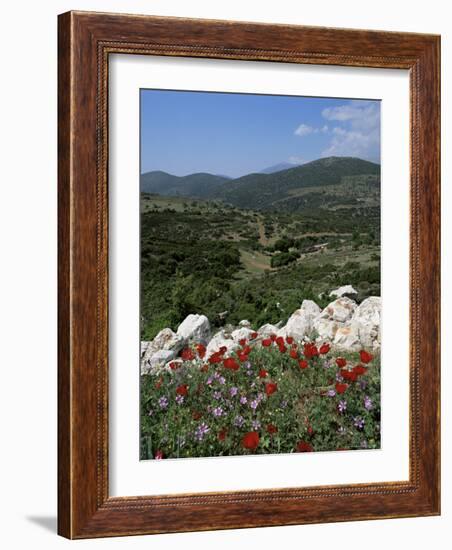 Flowers and Landscape, Greece-Tony Gervis-Framed Photographic Print