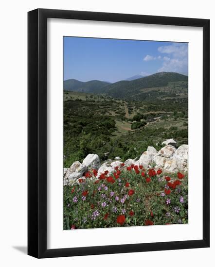 Flowers and Landscape, Greece-Tony Gervis-Framed Photographic Print