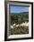 Flowers and Landscape, Greece-Tony Gervis-Framed Photographic Print