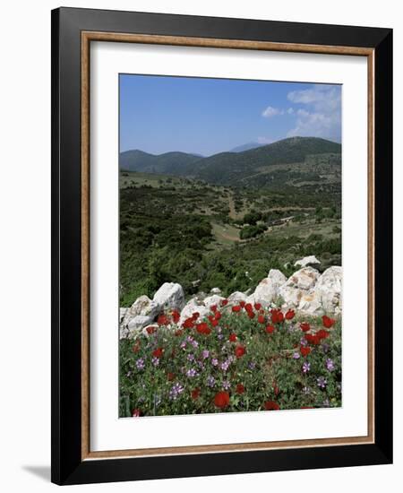 Flowers and Landscape, Greece-Tony Gervis-Framed Photographic Print