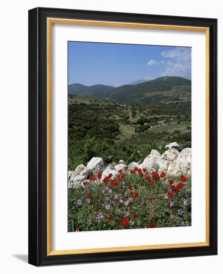 Flowers and Landscape, Greece-Tony Gervis-Framed Photographic Print