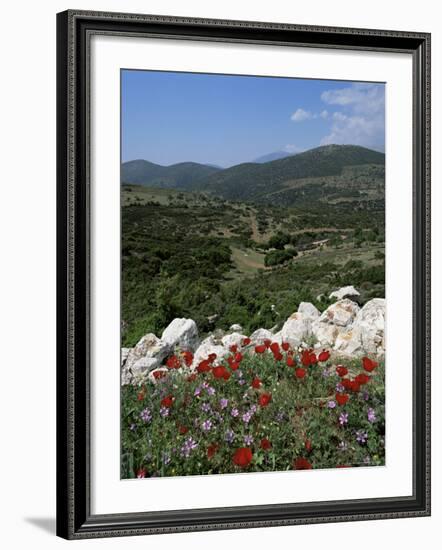 Flowers and Landscape, Greece-Tony Gervis-Framed Photographic Print