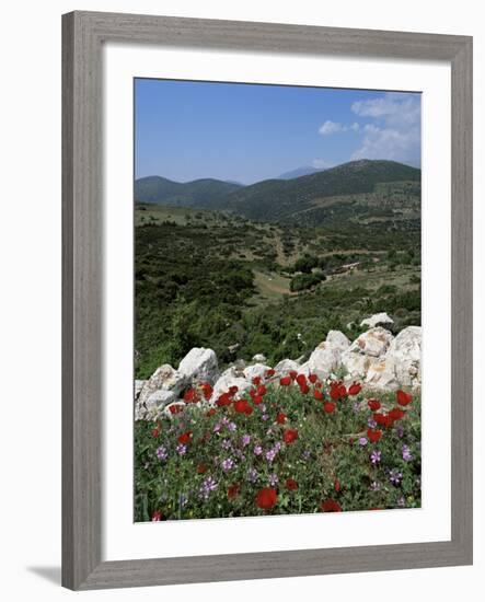 Flowers and Landscape, Greece-Tony Gervis-Framed Photographic Print