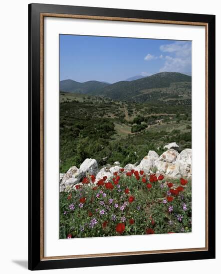 Flowers and Landscape, Greece-Tony Gervis-Framed Photographic Print