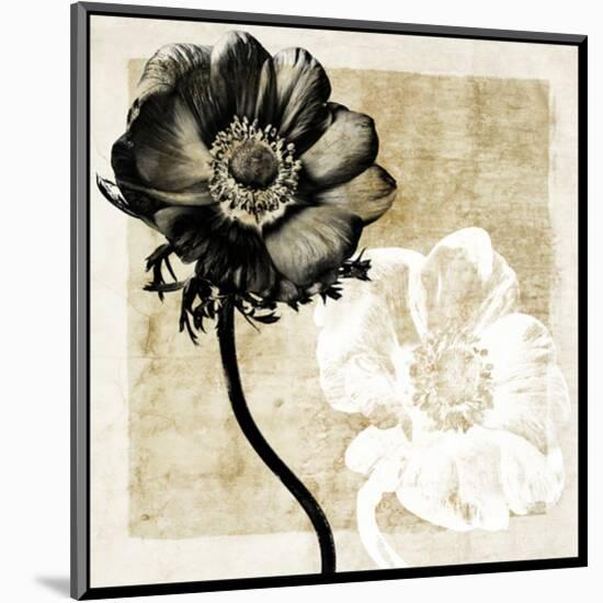 Flowers and Light II-Christine Zalewski-Mounted Art Print