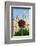 Flowers and Madrid Post Office, Madrid, Spain-null-Framed Photographic Print