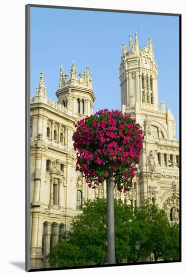 Flowers and Madrid Post Office, Madrid, Spain-null-Mounted Photographic Print