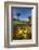 Flowers and Palm Trees, Foreshore Reserve, Picton, Marlborough Sounds, South Island, New Zealand-David Wall-Framed Photographic Print