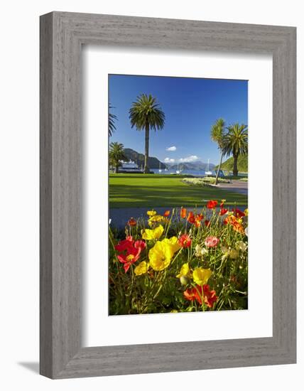 Flowers and Palm Trees, Foreshore Reserve, Picton, Marlborough Sounds, South Island, New Zealand-David Wall-Framed Photographic Print