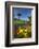 Flowers and Palm Trees, Foreshore Reserve, Picton, Marlborough Sounds, South Island, New Zealand-David Wall-Framed Photographic Print