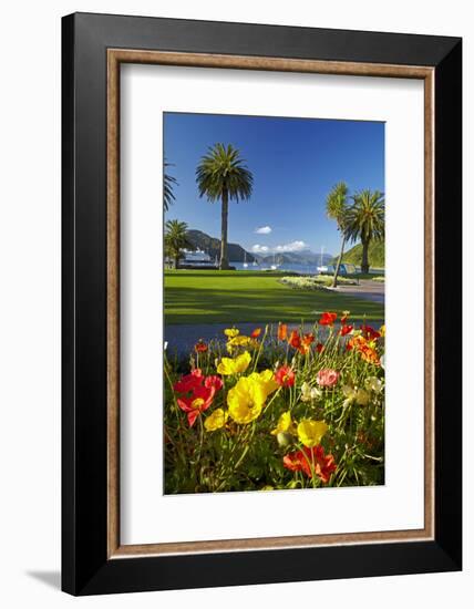 Flowers and Palm Trees, Foreshore Reserve, Picton, Marlborough Sounds, South Island, New Zealand-David Wall-Framed Photographic Print