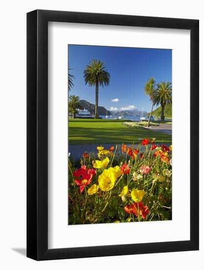Flowers and Palm Trees, Foreshore Reserve, Picton, Marlborough Sounds, South Island, New Zealand-David Wall-Framed Photographic Print