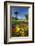 Flowers and Palm Trees, Foreshore Reserve, Picton, Marlborough Sounds, South Island, New Zealand-David Wall-Framed Photographic Print