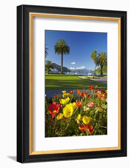 Flowers and Palm Trees, Foreshore Reserve, Picton, Marlborough Sounds, South Island, New Zealand-David Wall-Framed Photographic Print