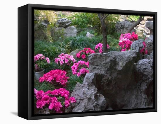 Flowers and Rocks in Traditional Chinese Garden, China-Keren Su-Framed Premier Image Canvas