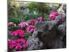 Flowers and Rocks in Traditional Chinese Garden, China-Keren Su-Mounted Photographic Print