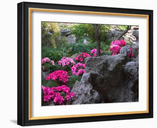 Flowers and Rocks in Traditional Chinese Garden, China-Keren Su-Framed Photographic Print