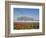 Flowers and the Birds Nest National Stadium in the Olympic Green, Beijing, China-Kober Christian-Framed Photographic Print