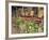 Flowers and Wooden Chairs at Lake McDonald Lodge, Glacier National Park, Montana, USA-Chuck Haney-Framed Photographic Print