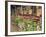 Flowers and Wooden Chairs at Lake McDonald Lodge, Glacier National Park, Montana, USA-Chuck Haney-Framed Photographic Print