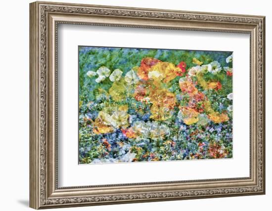 Flowers, Art-Skaya-Framed Photographic Print