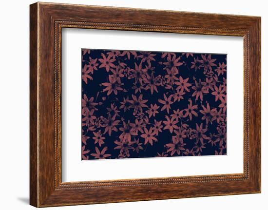 Flowers at Dawn Nº1-Florent Bodart-Framed Photographic Print