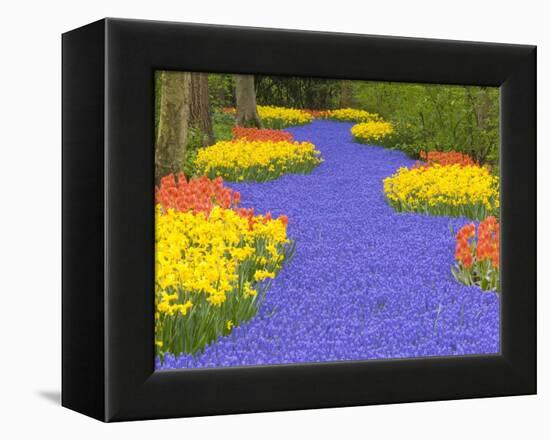 Flowers at Keukenhof Garden-Jim Zuckerman-Framed Premier Image Canvas